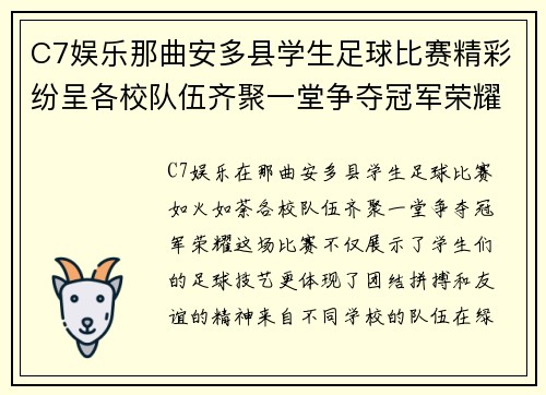 C7娱乐那曲安多县学生足球比赛精彩纷呈各校队伍齐聚一堂争夺冠军荣耀